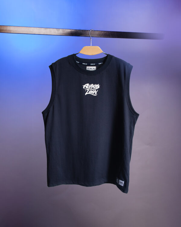 pirata 1.1 pirata 1.1