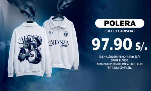 precio y descripcion precio y descripcion