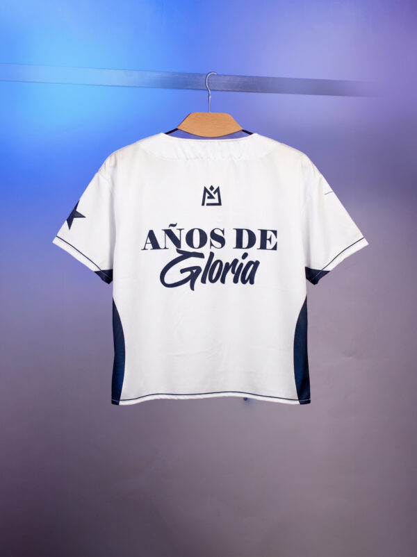 blusa 2